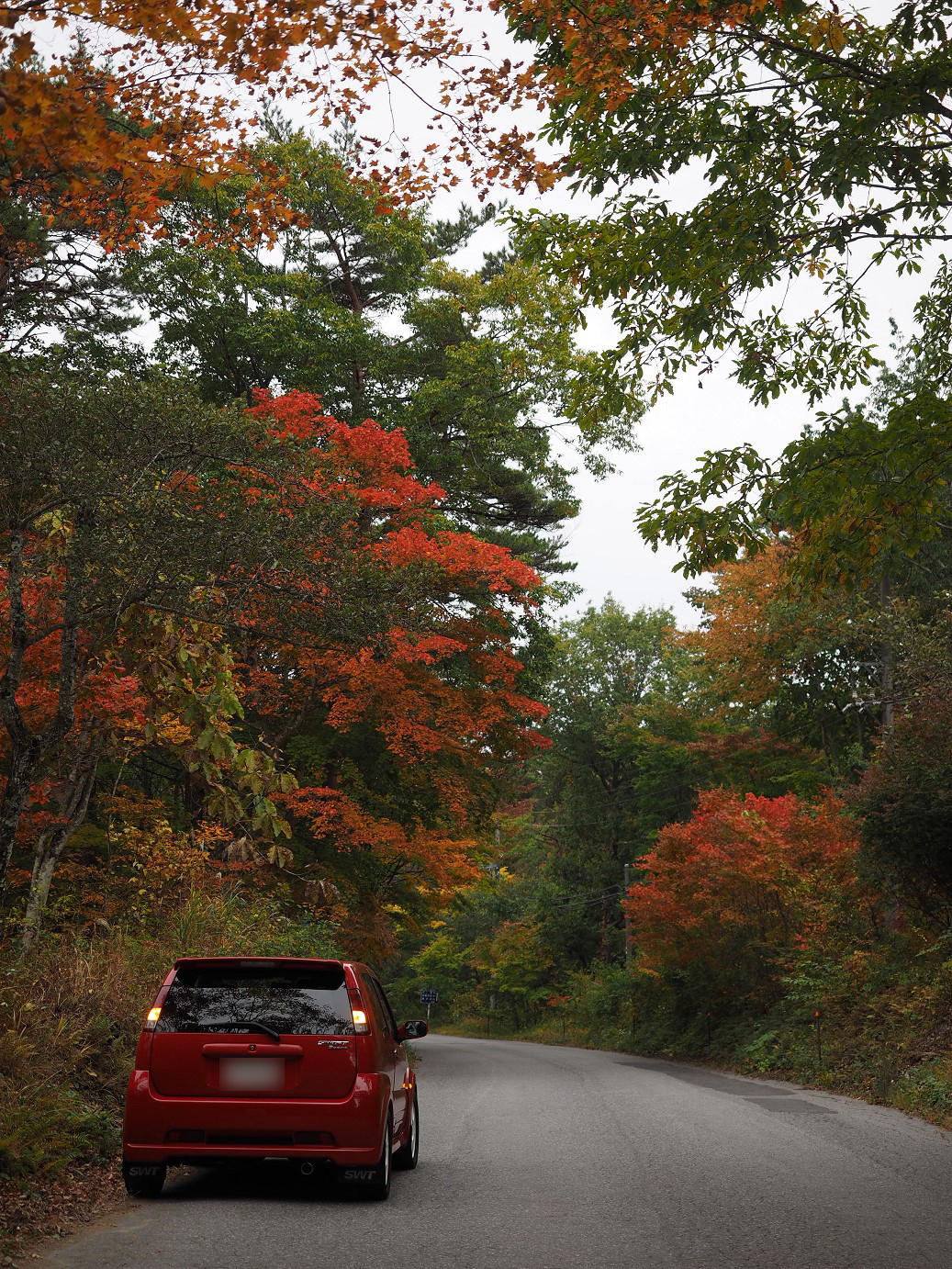 PA100651.jpg