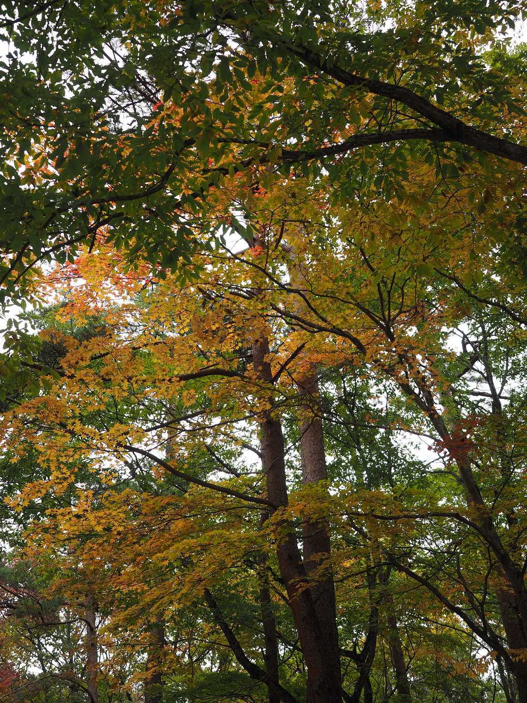 PA100653.jpg