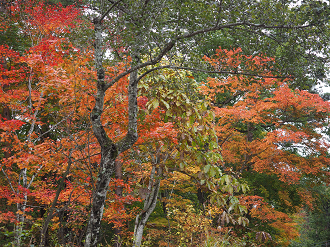 PA100656_thumb.png
