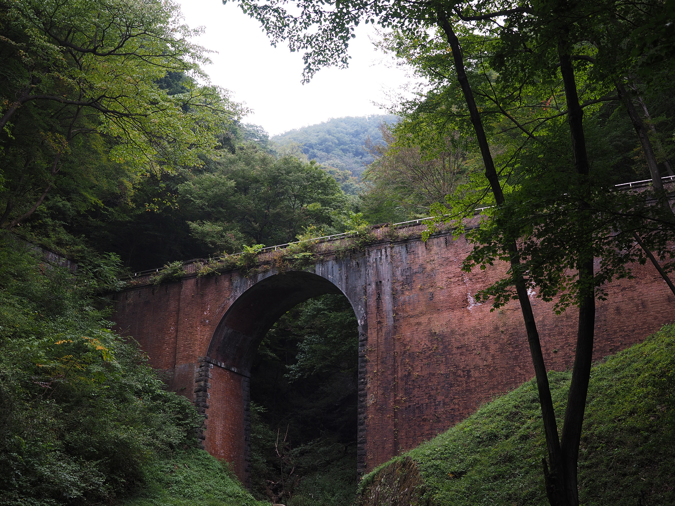 PA100661.jpg