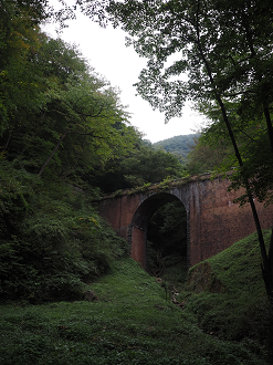 PA100662_thumb.png