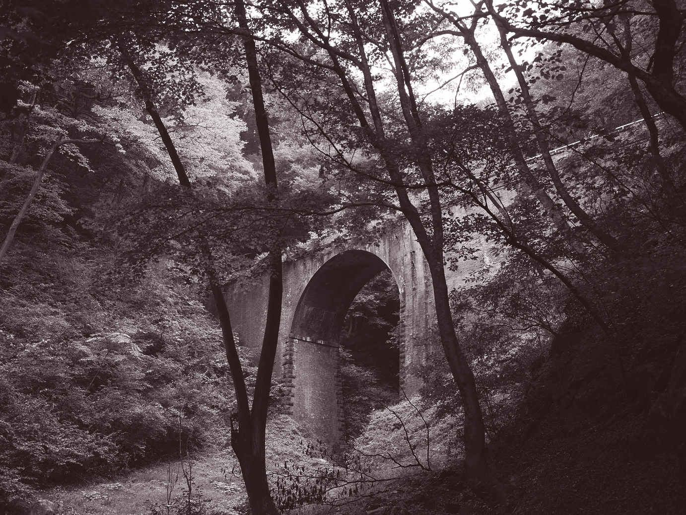 PA100673.jpg