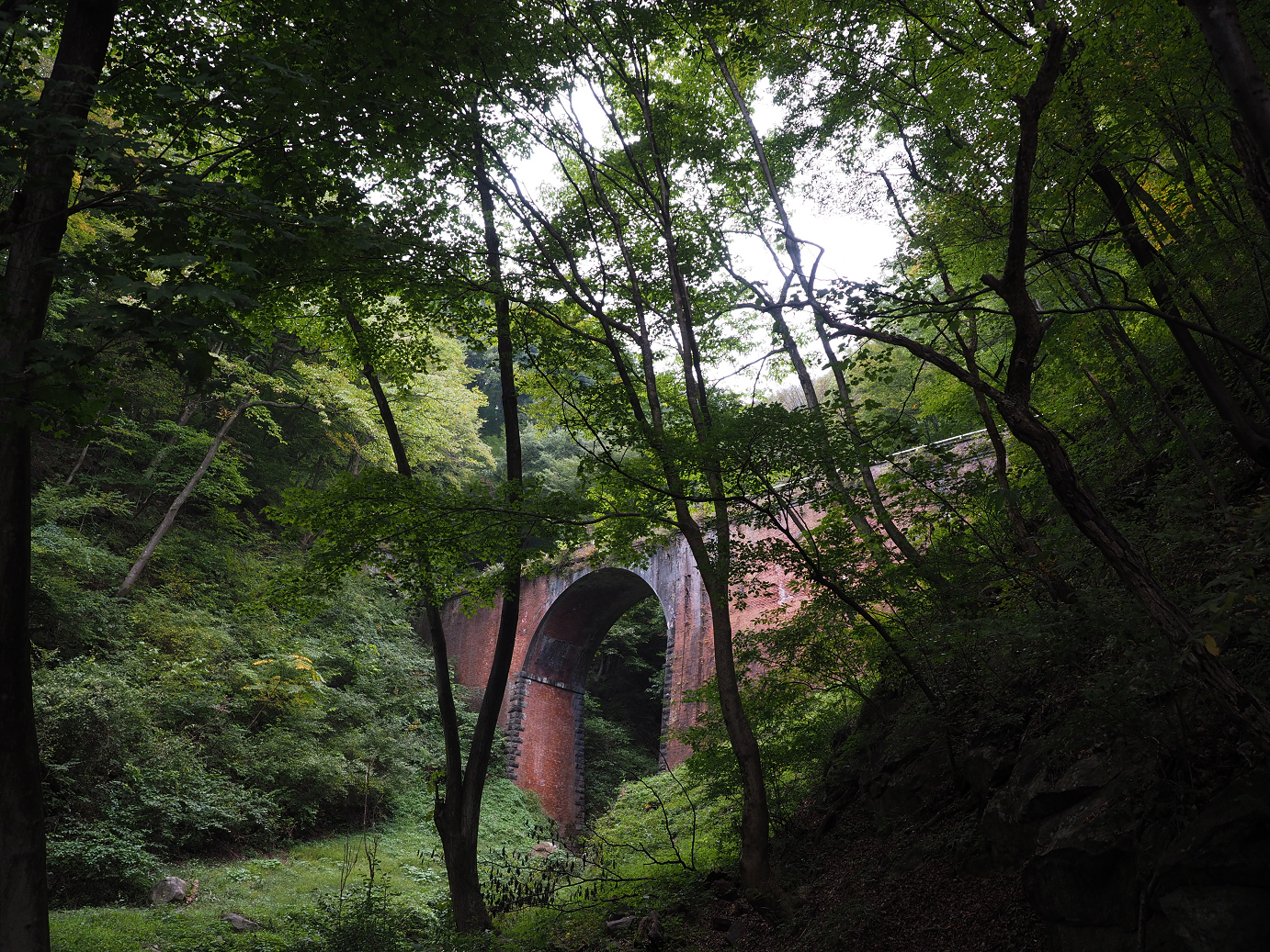 PA100678.jpg