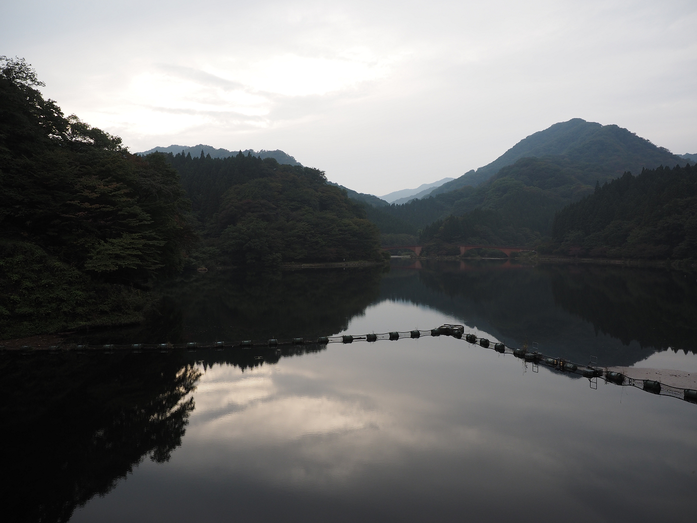 PA100694.jpg