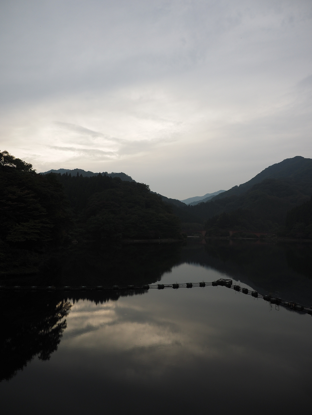 PA100695.jpg