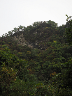PA100698_thumb.png