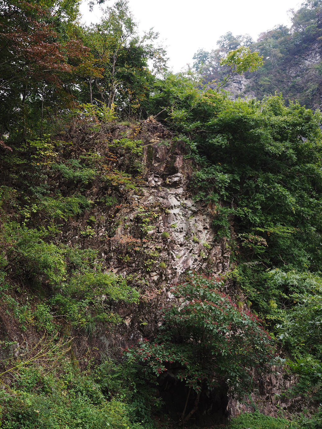 PA100700.jpg