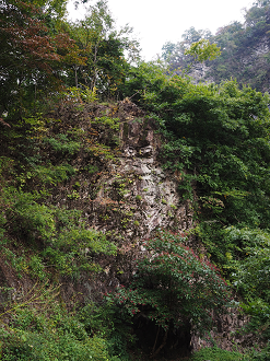 PA100700_thumb.png
