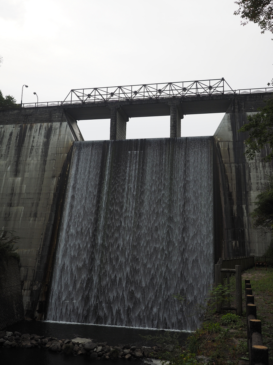 PA100706.jpg
