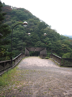 PA100717_thumb.png