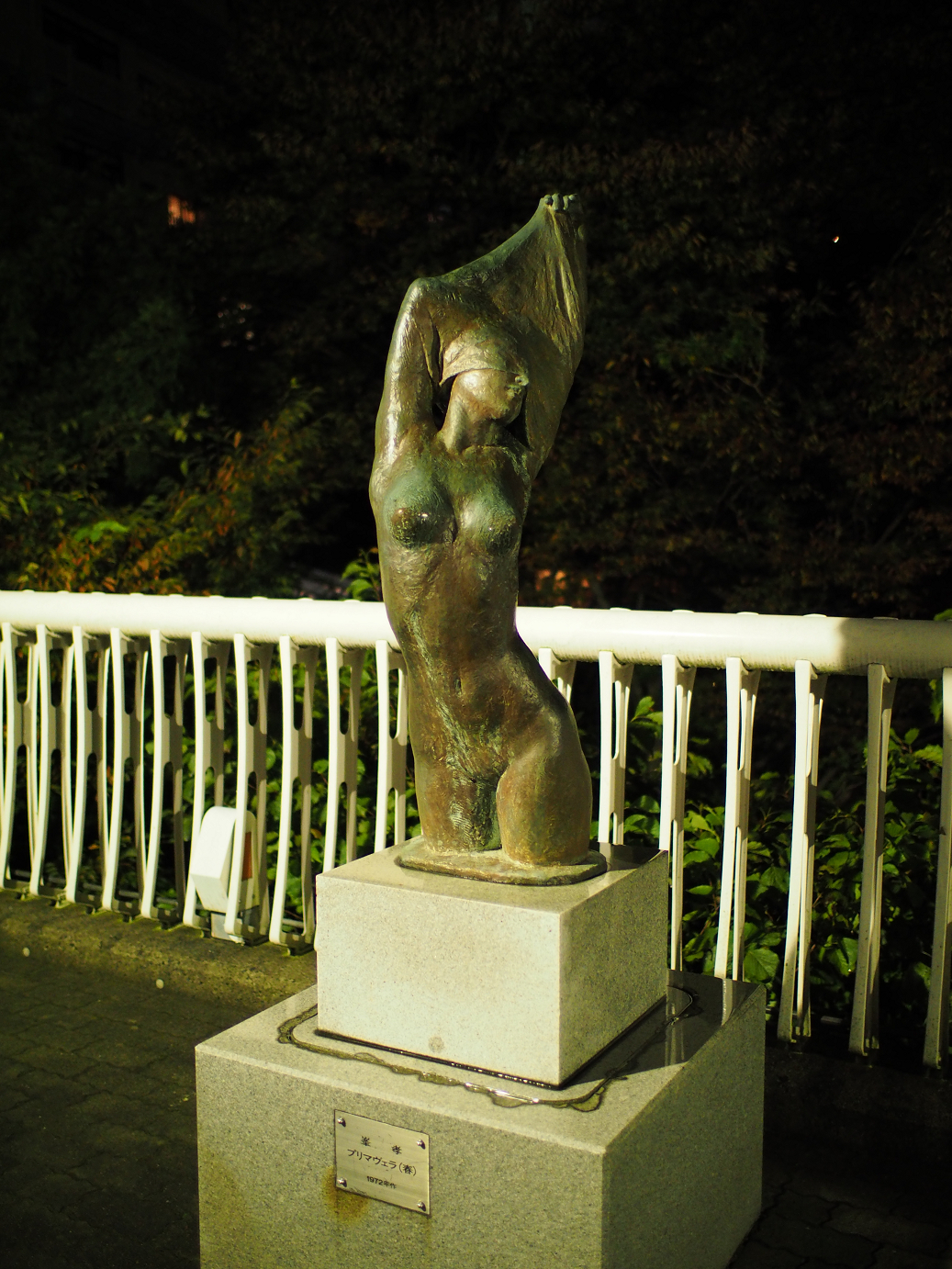 PA170093.jpg