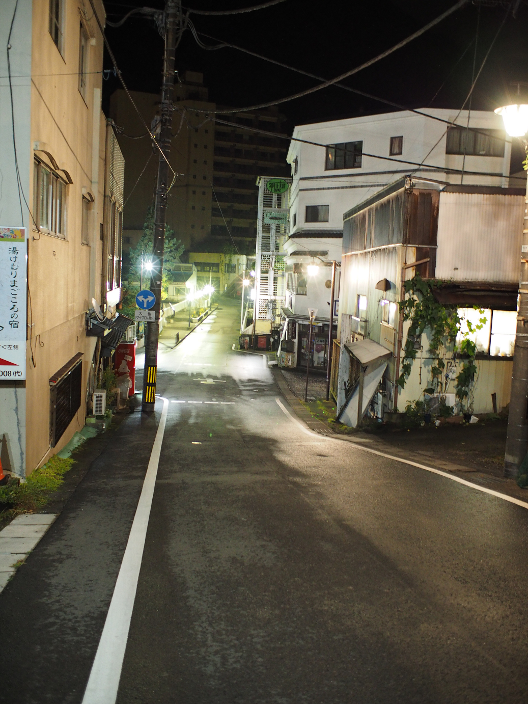 PA170098.jpg