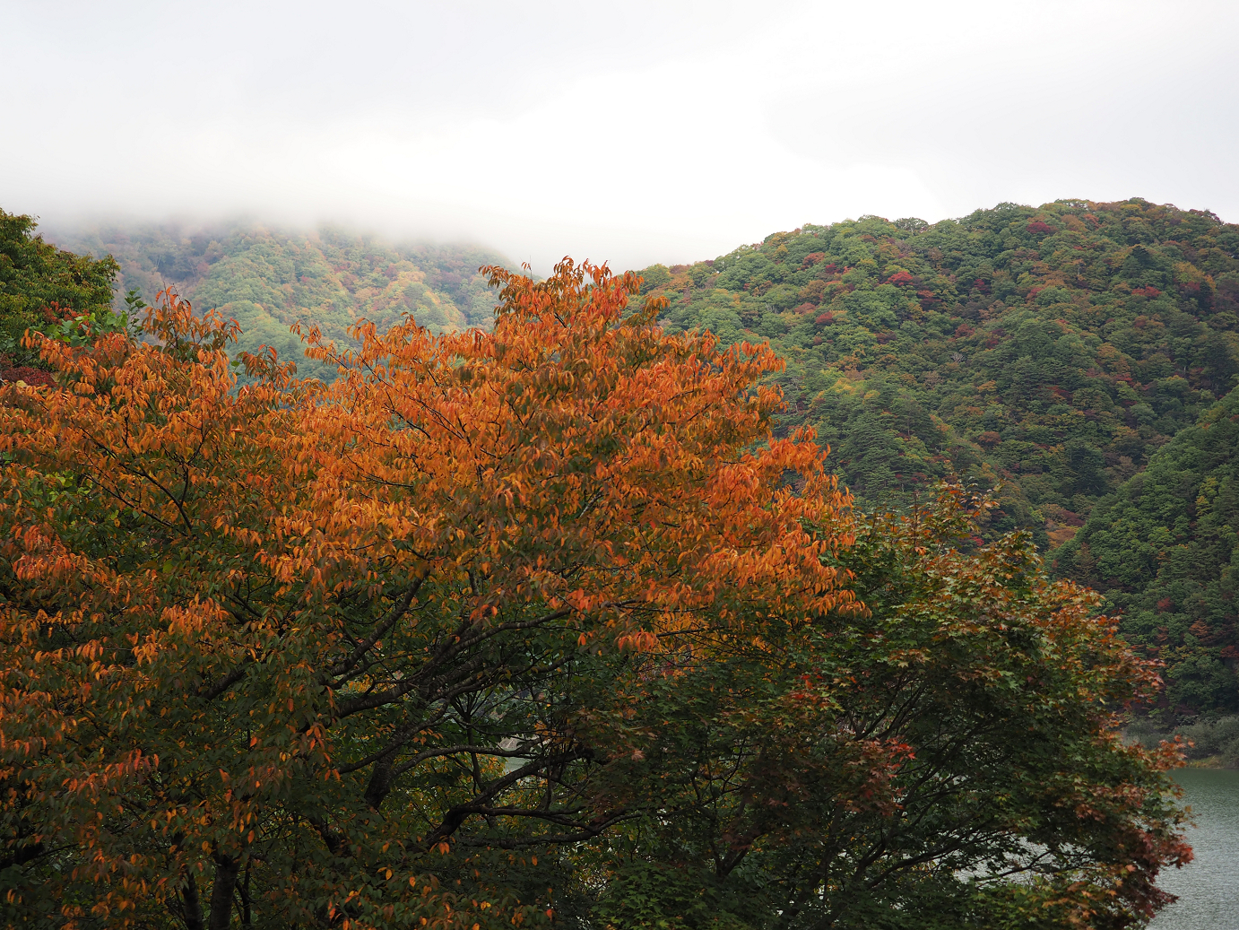 PA180123.jpg