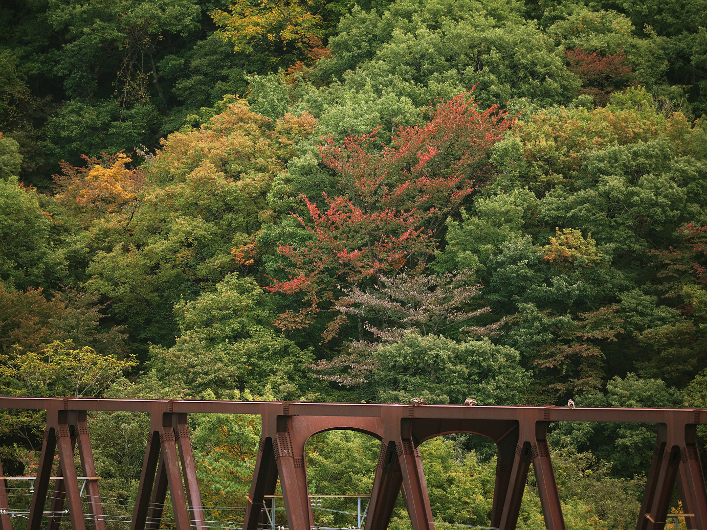 PA180124.jpg