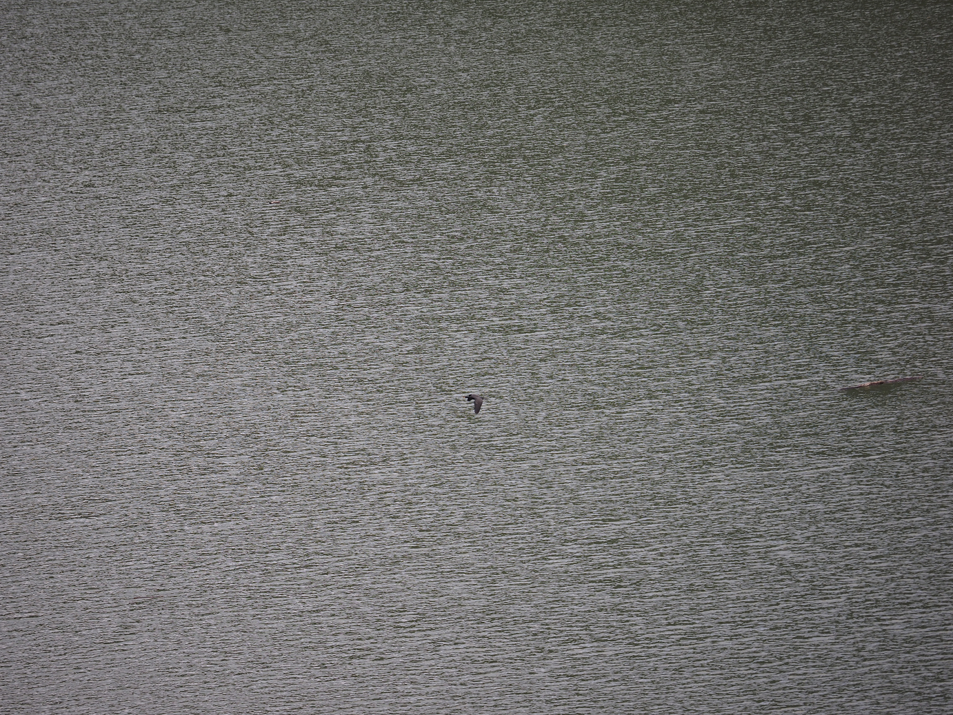 PA180129.jpg