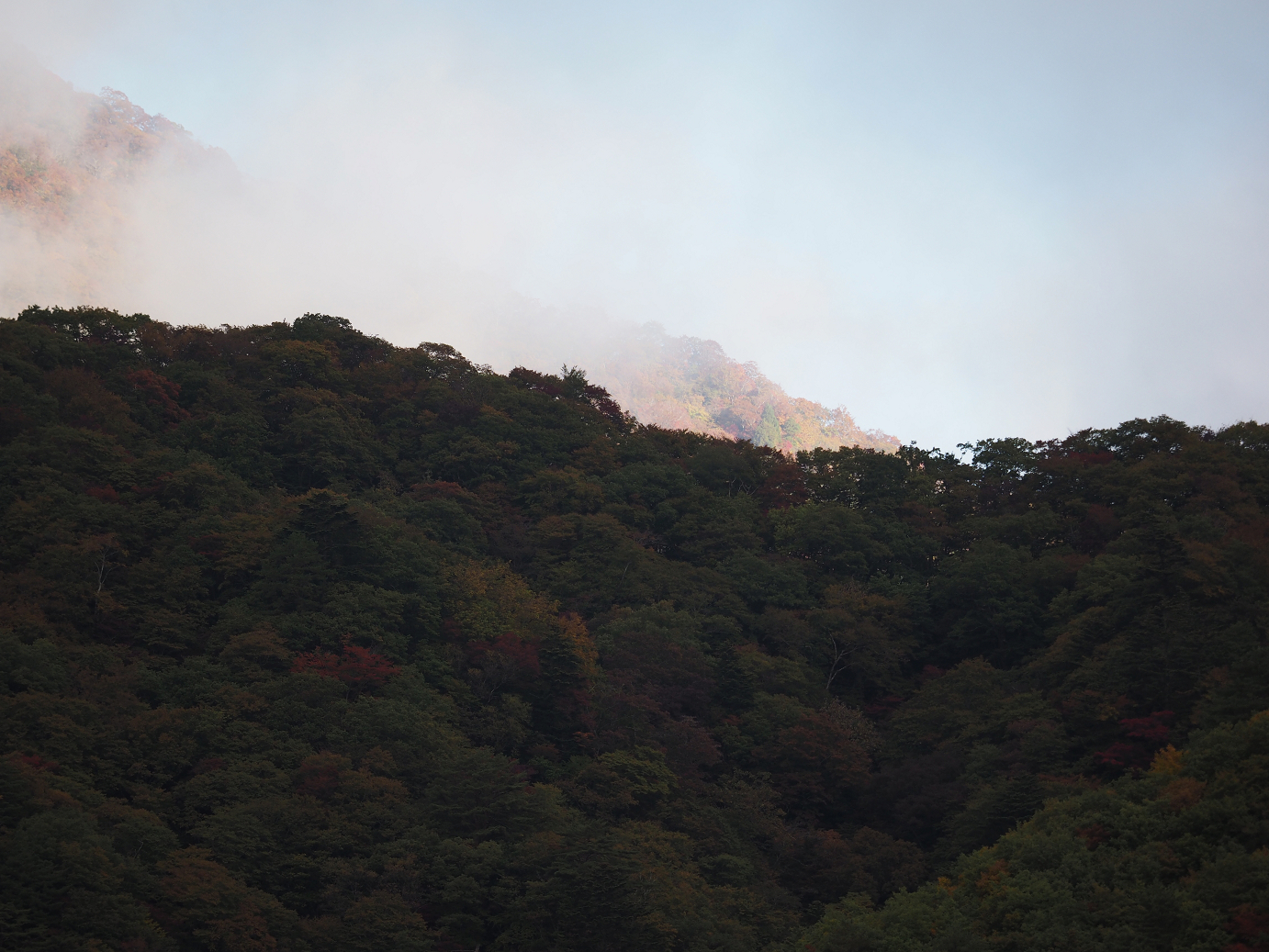 PA180130.jpg