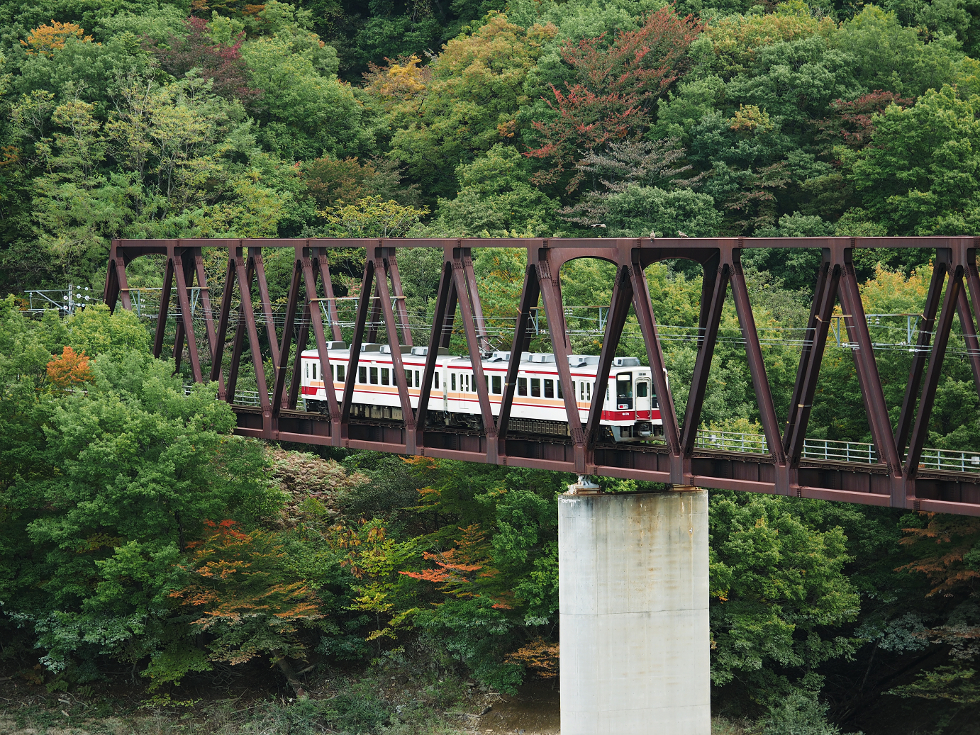 PA180136.jpg