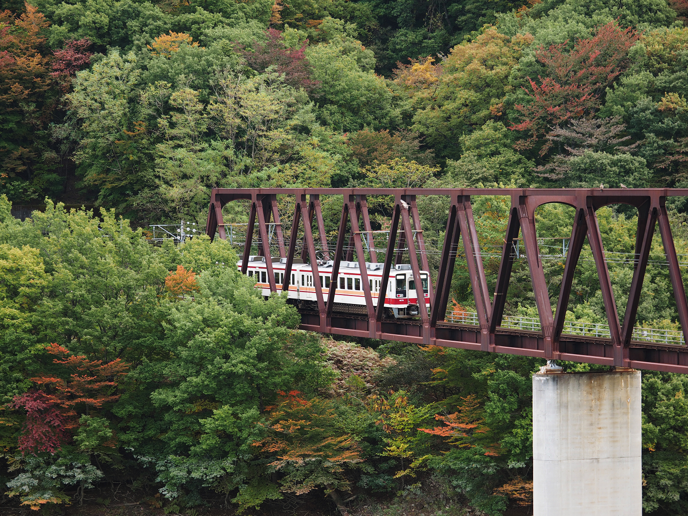 PA180137.jpg