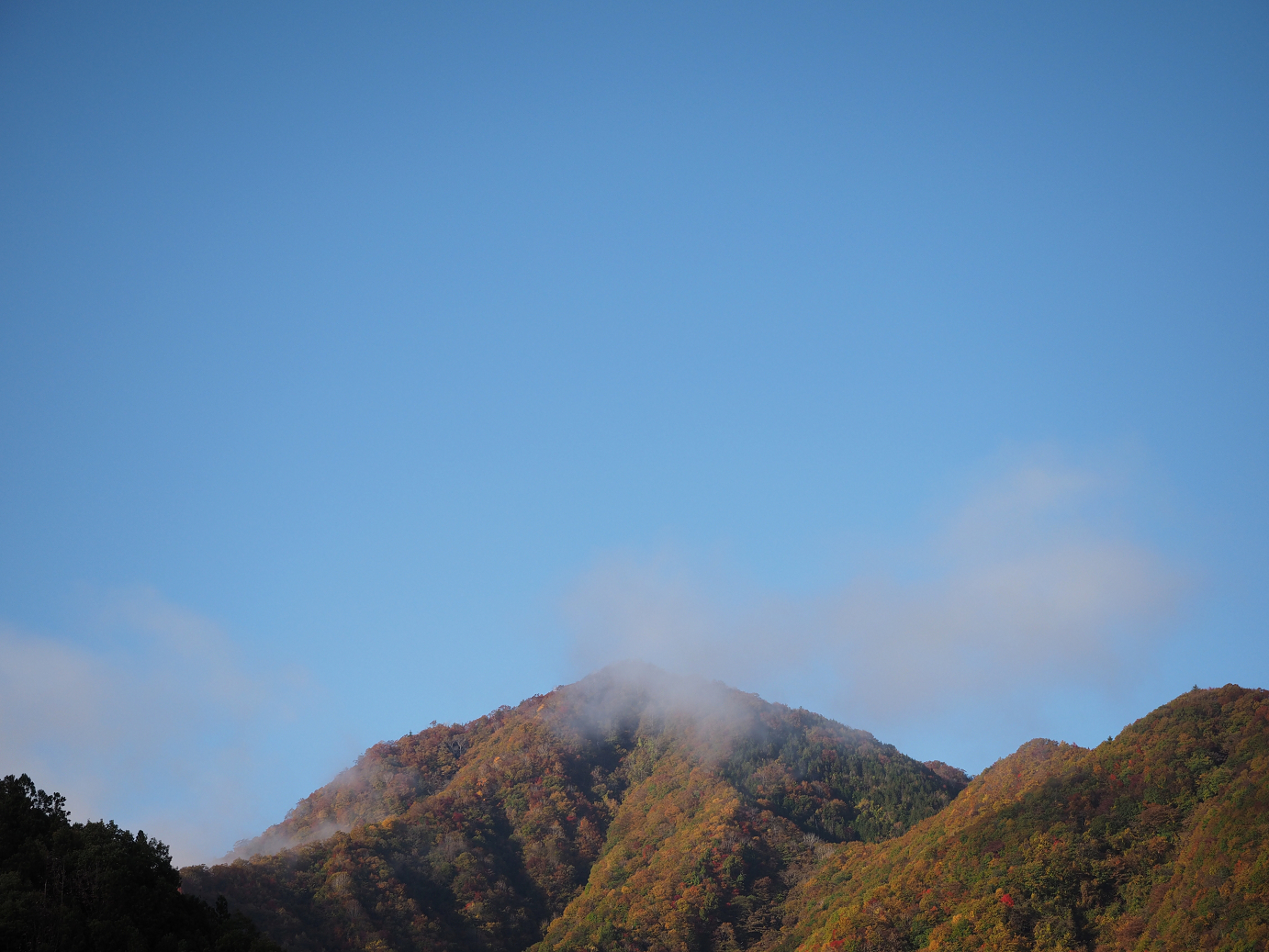 PA180139.jpg