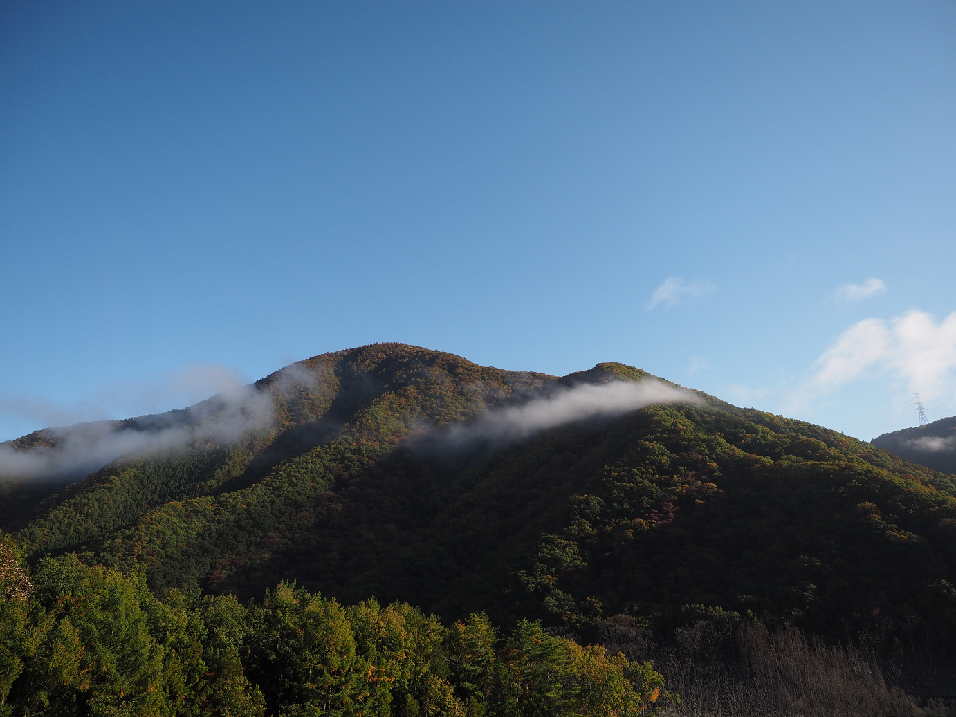 PA180160.jpg
