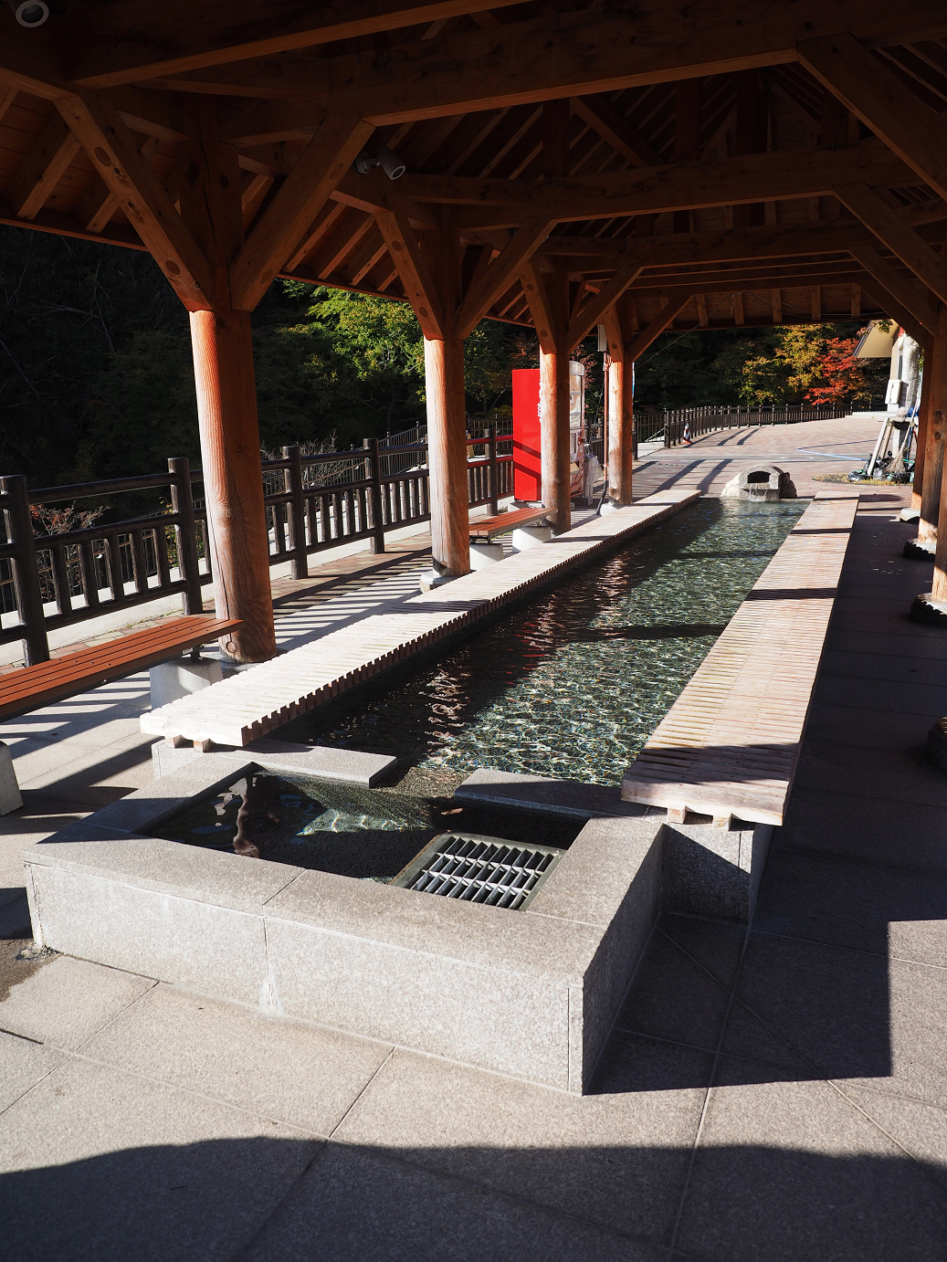 PA180167.jpg