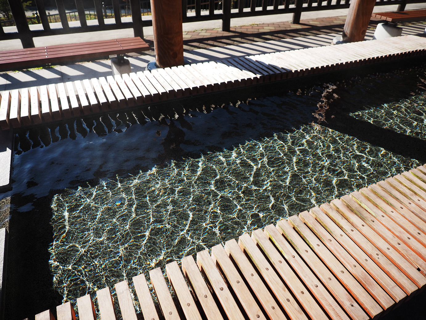 PA180169.jpg