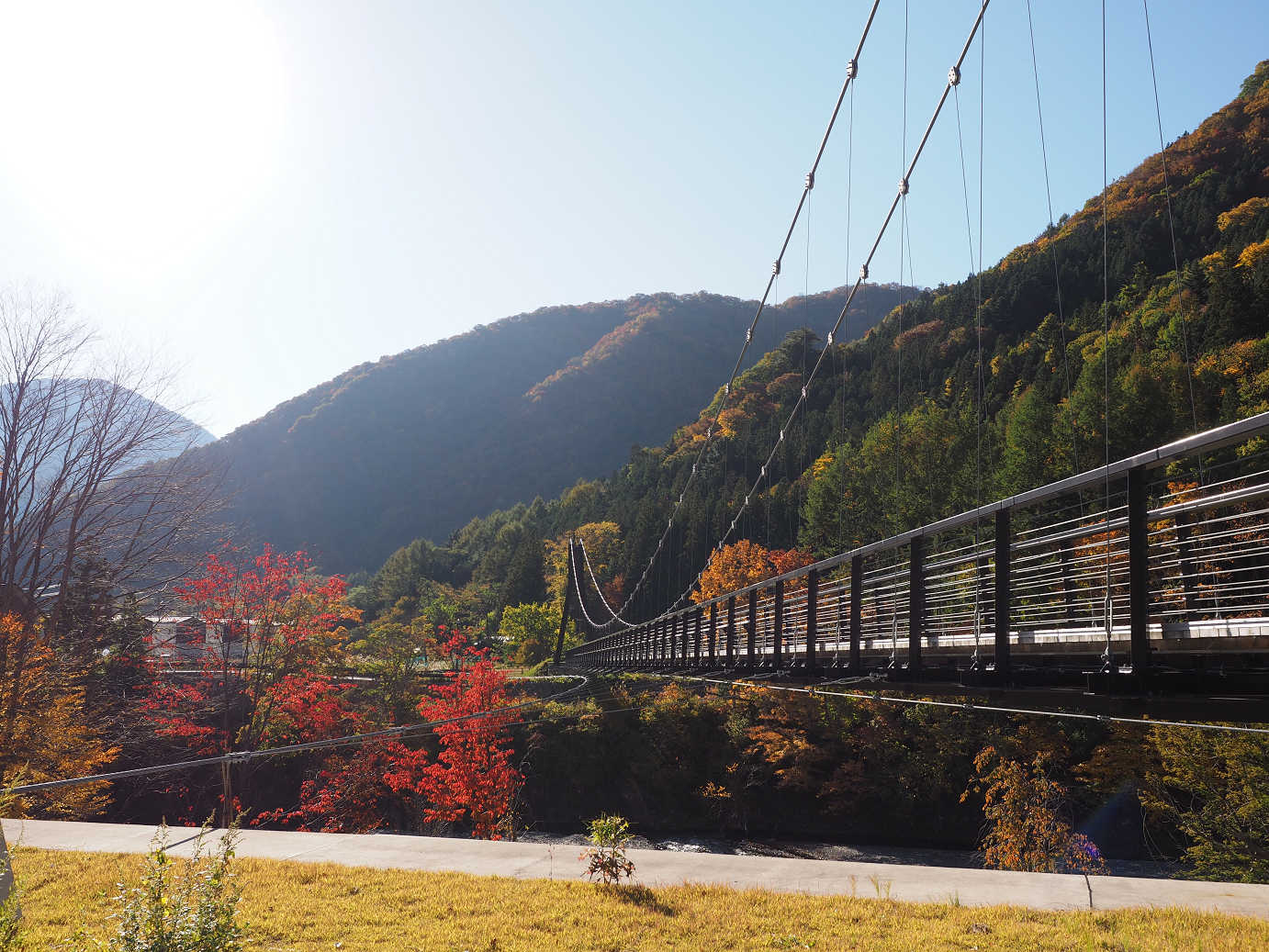 PA180179.jpg