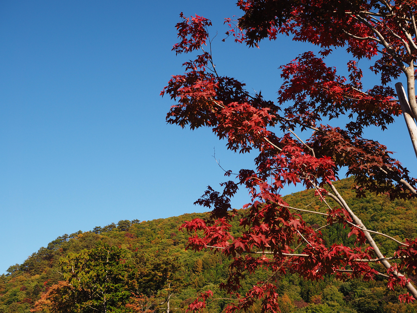 PA180183.jpg