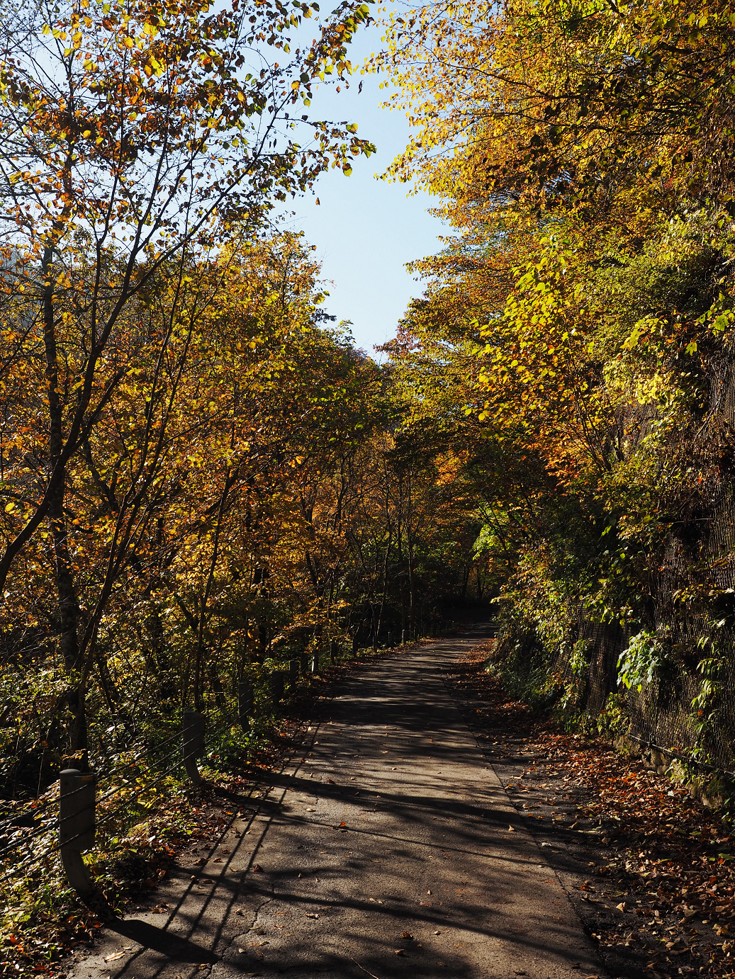 PA180185.jpg