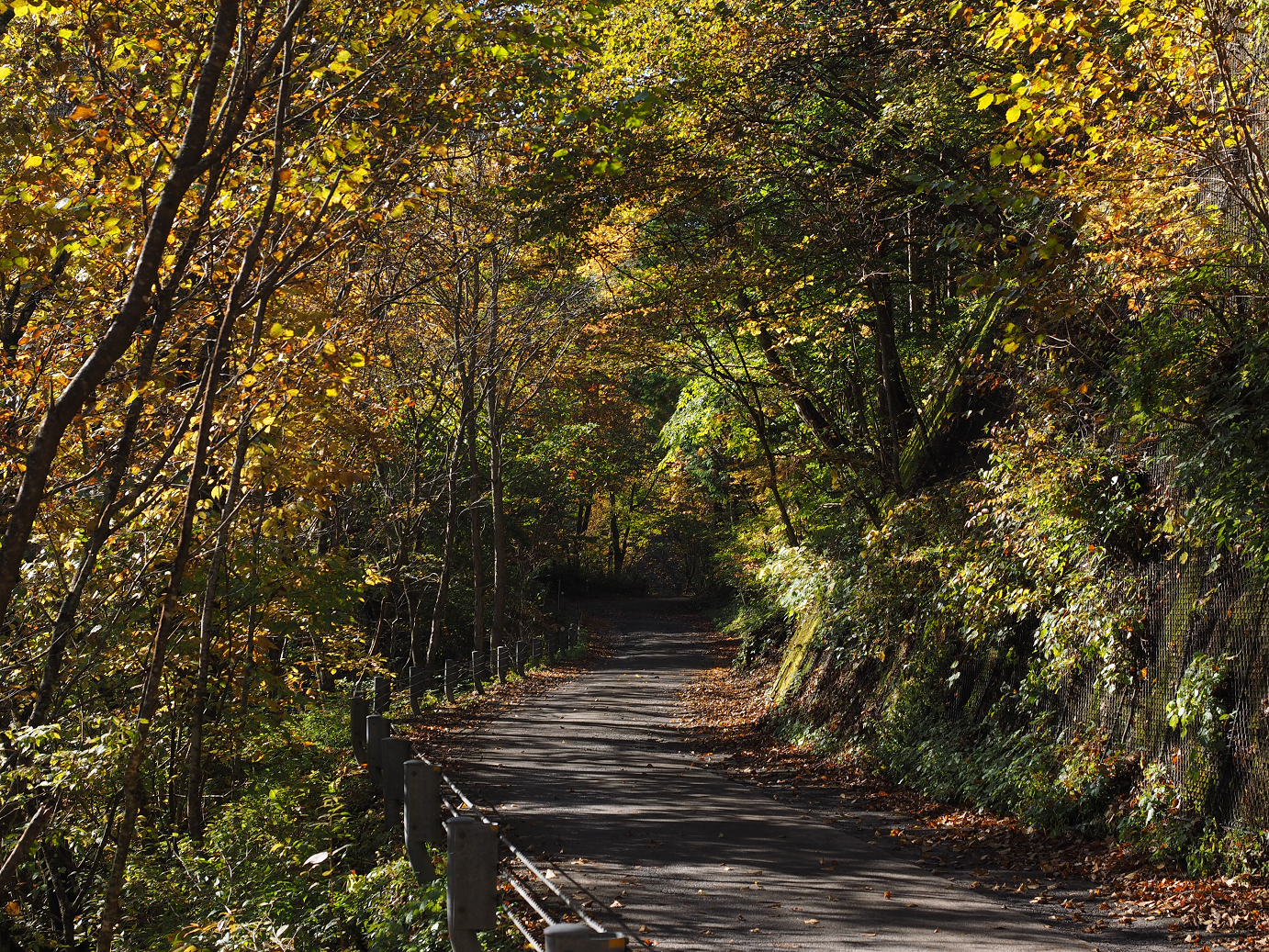 PA180187.jpg