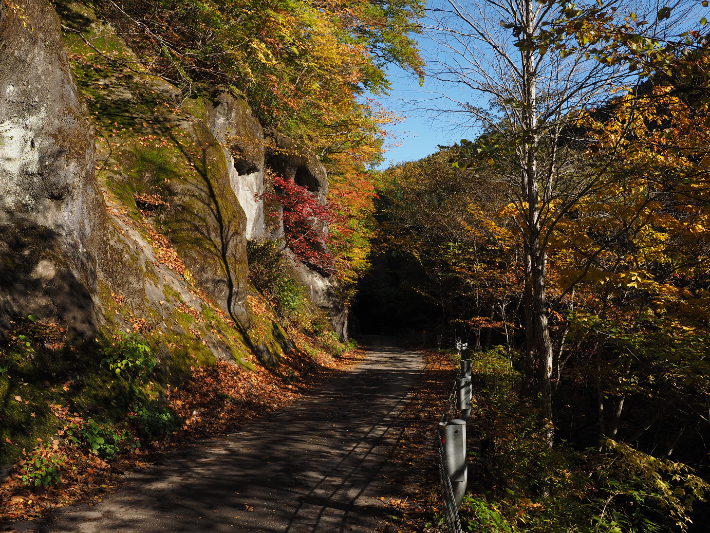 PA180188.jpg