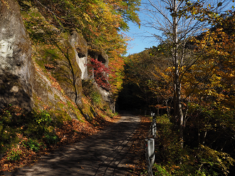 PA180188_thumb.png