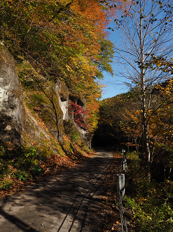 PA180189_thumb.png