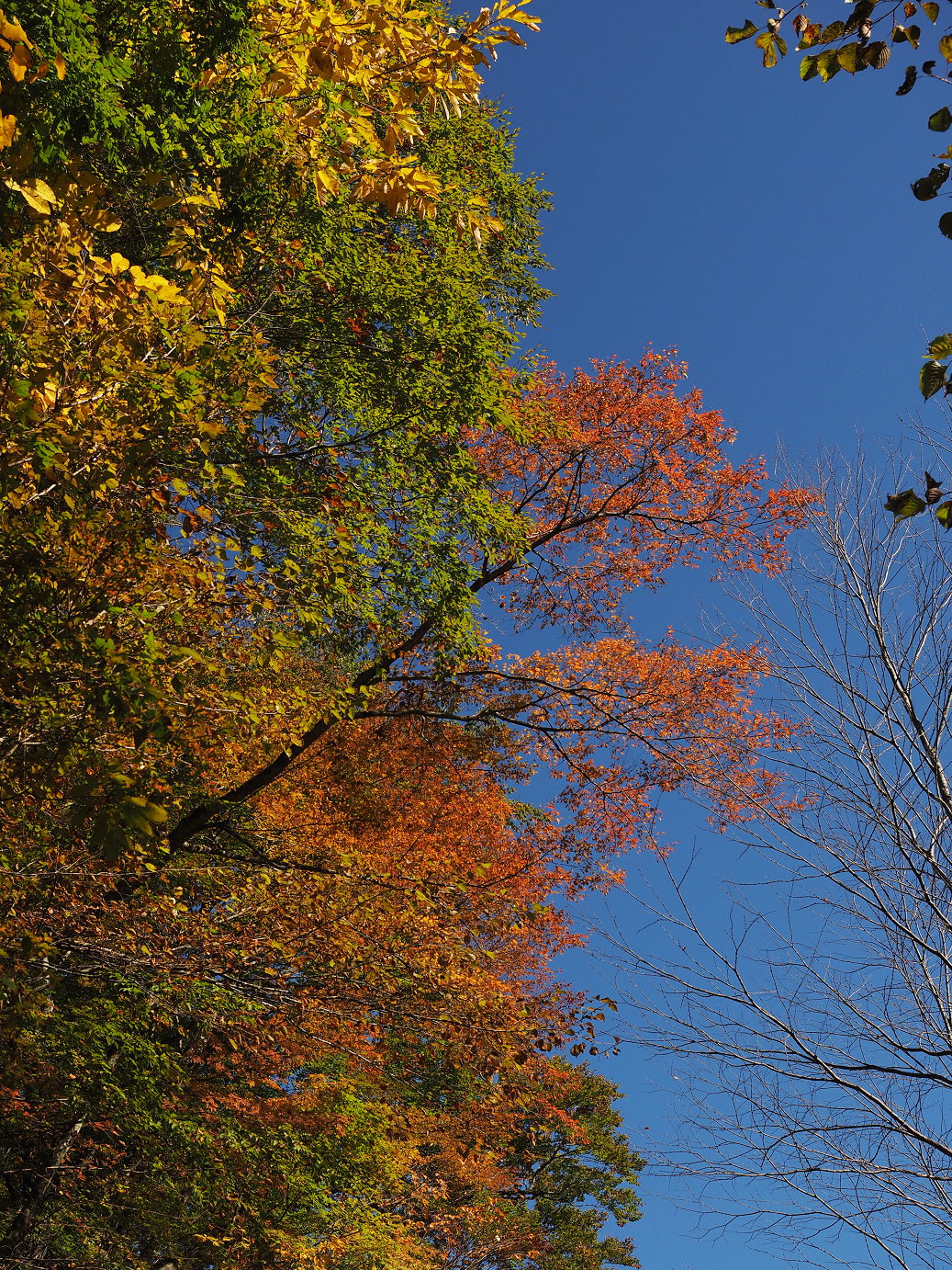 PA180190.jpg