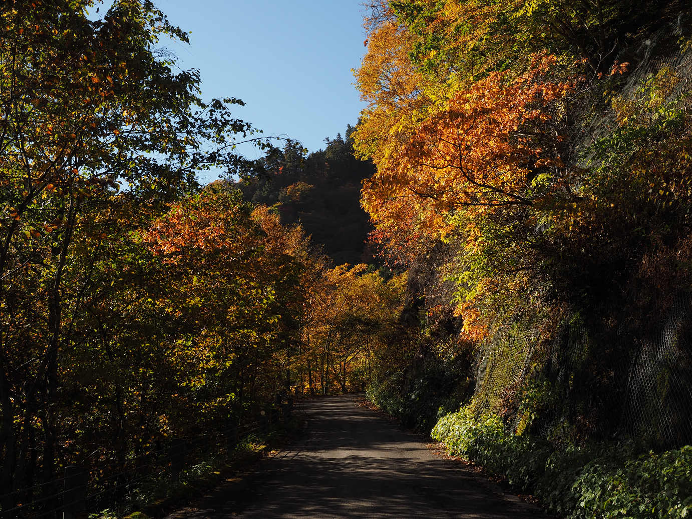 PA180192.jpg