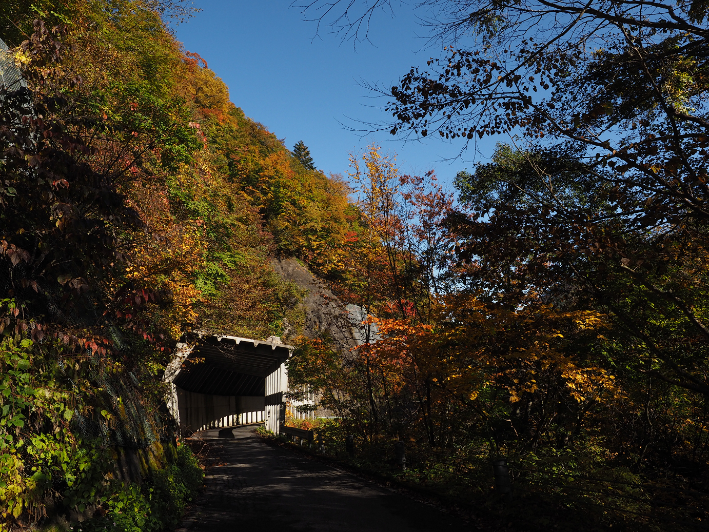 PA180194.jpg