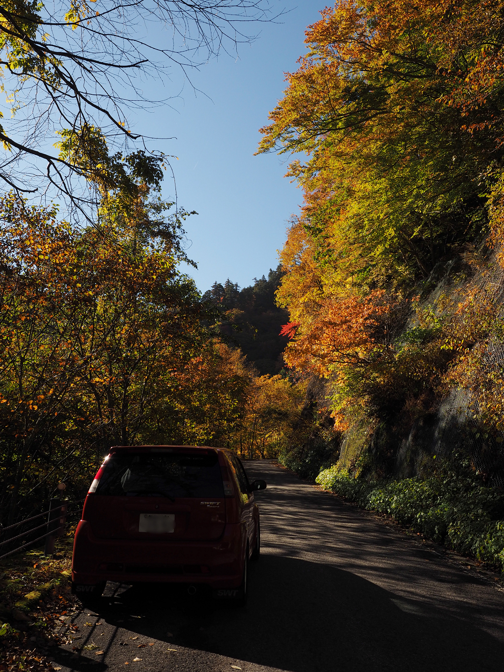 PA180196.jpg