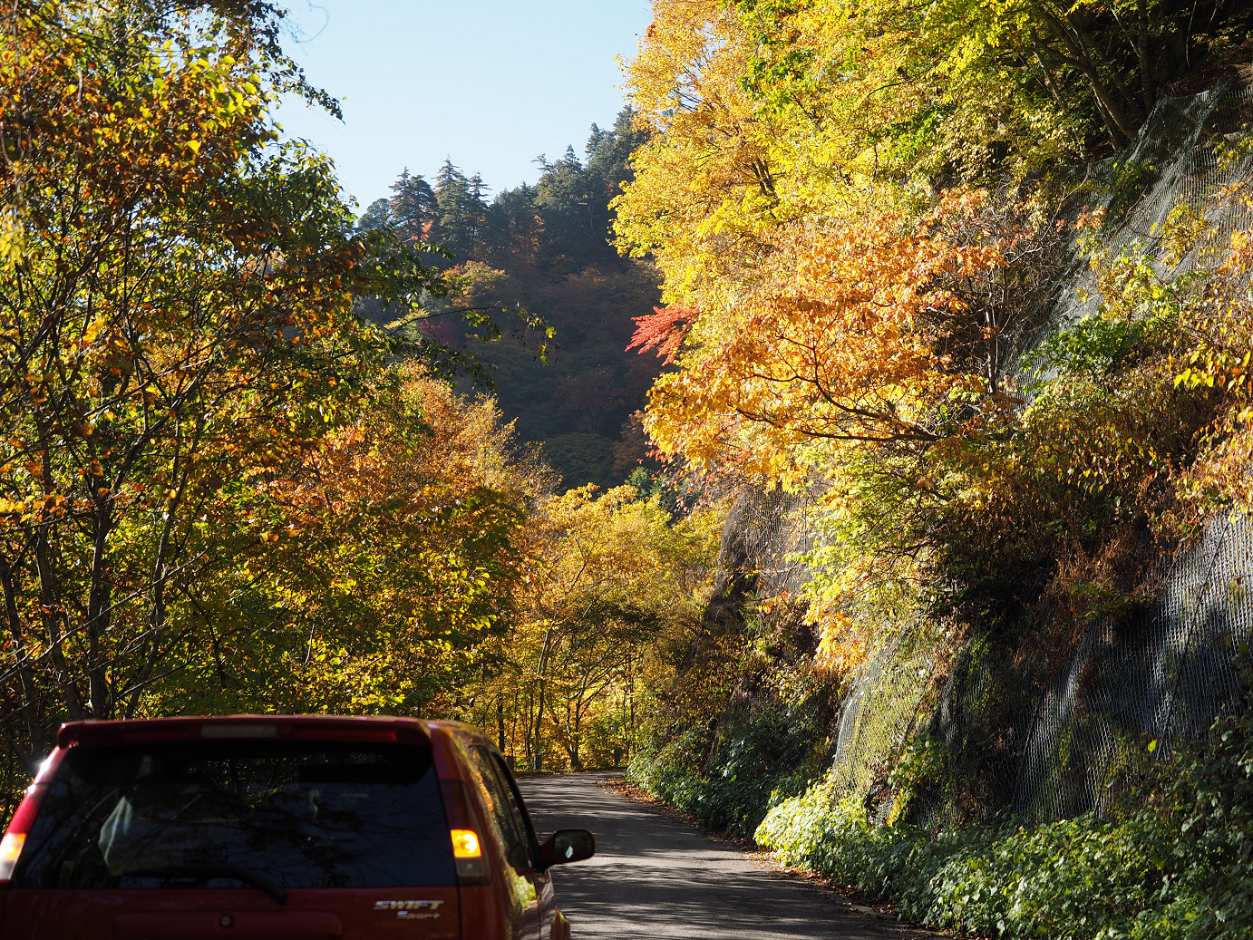 PA180198.jpg