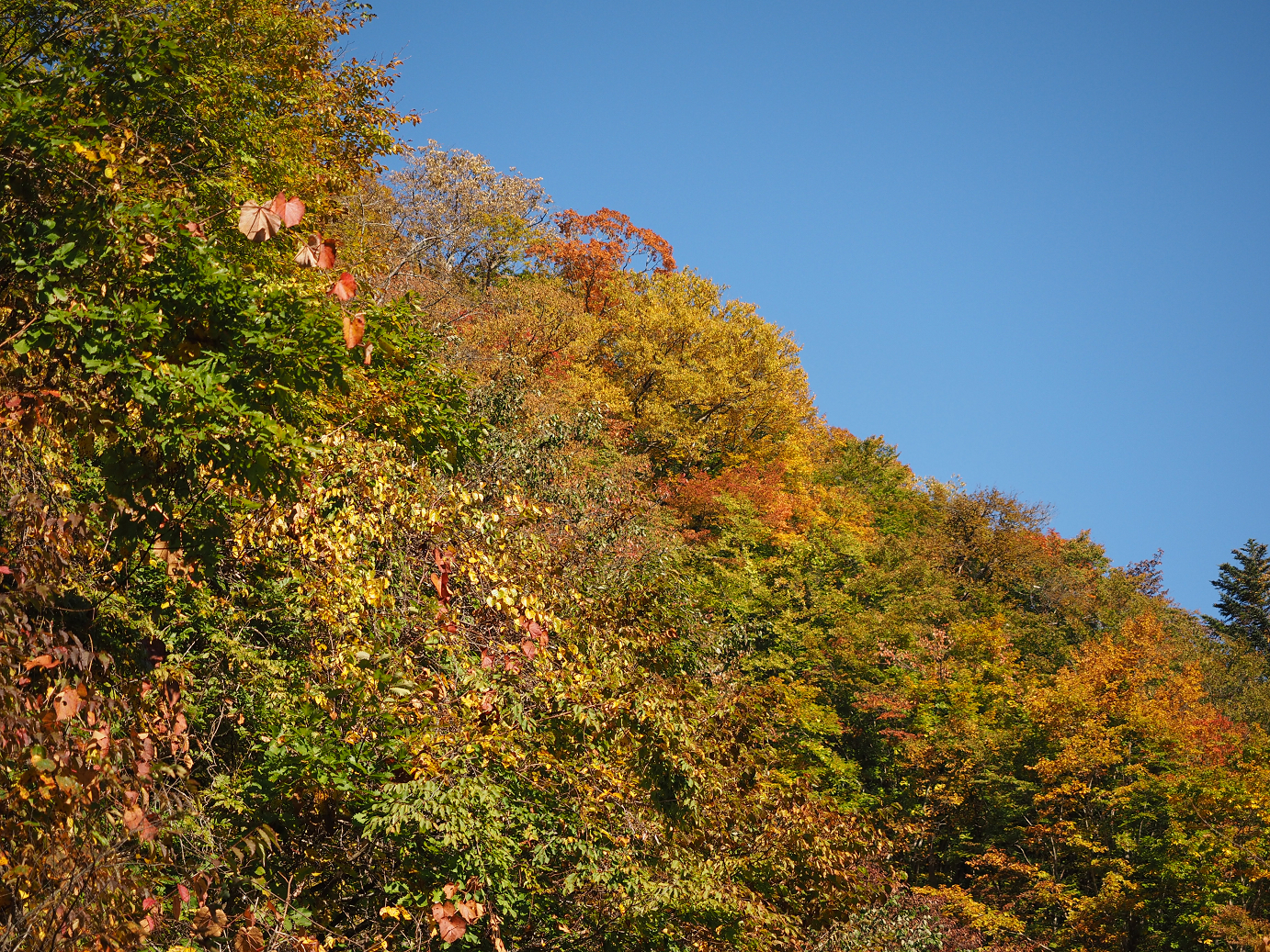 PA180199.jpg