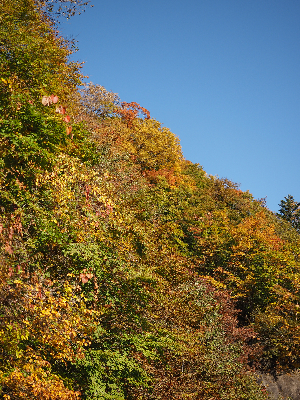 PA180200.jpg