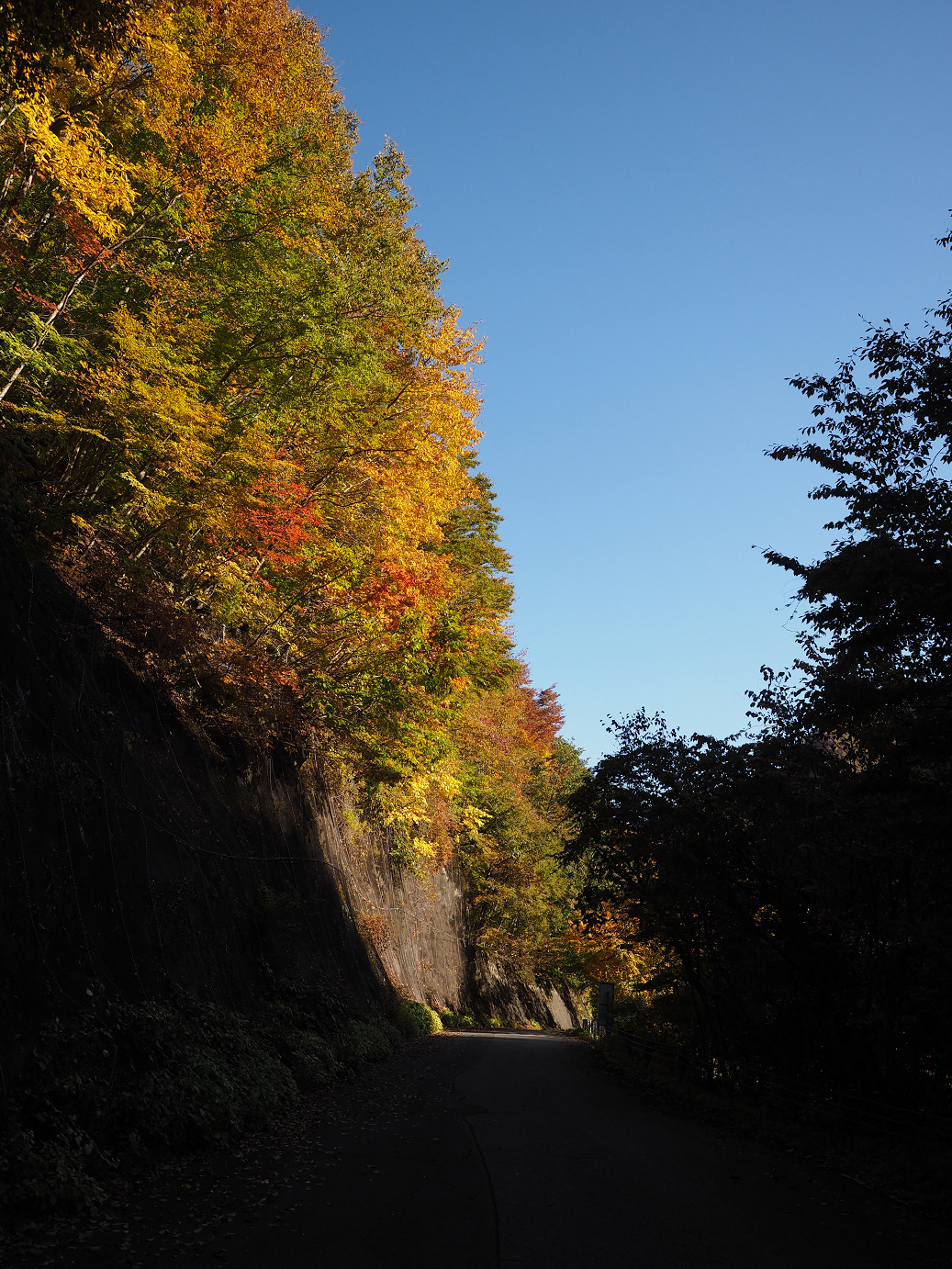 PA180201.jpg