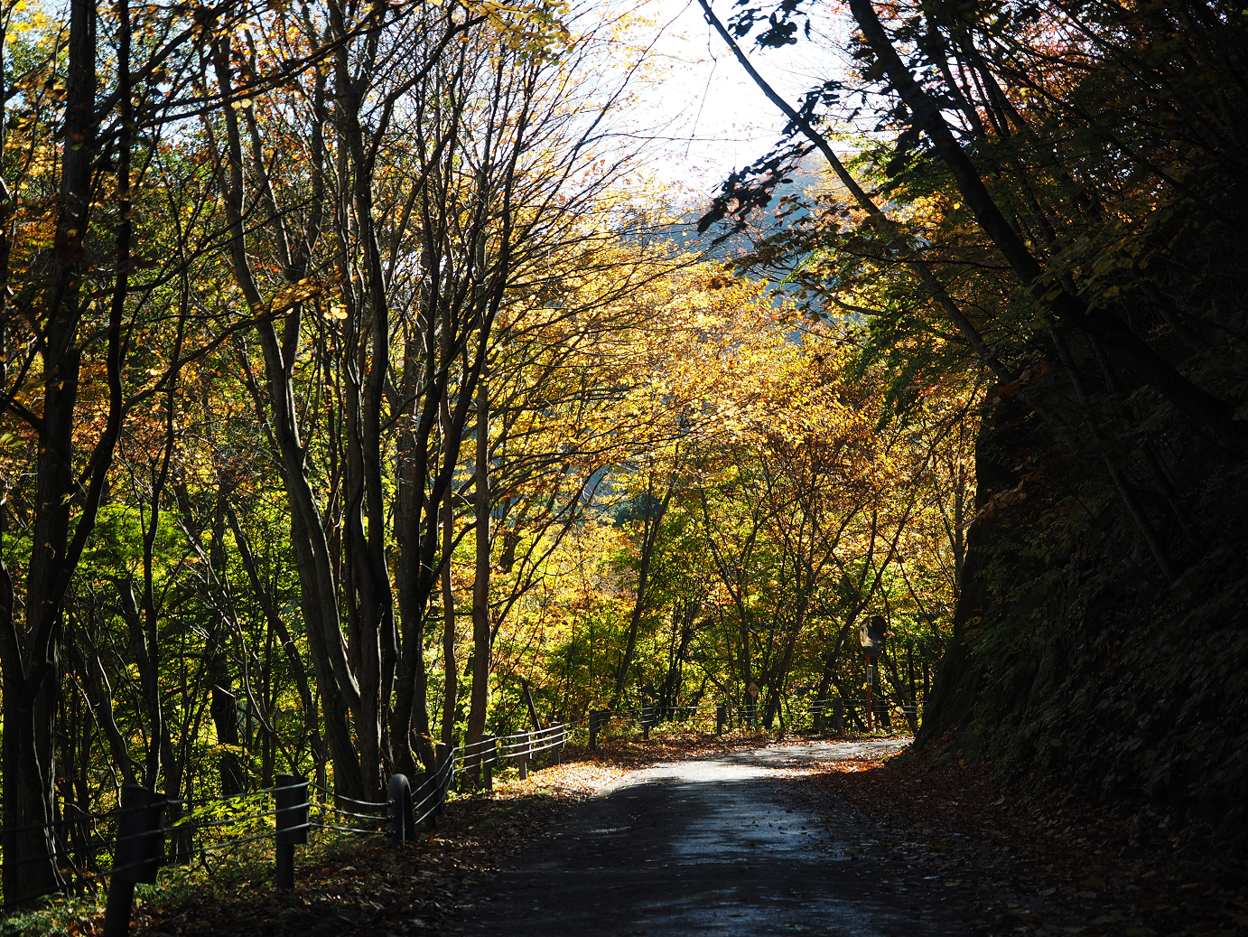 PA180212.jpg