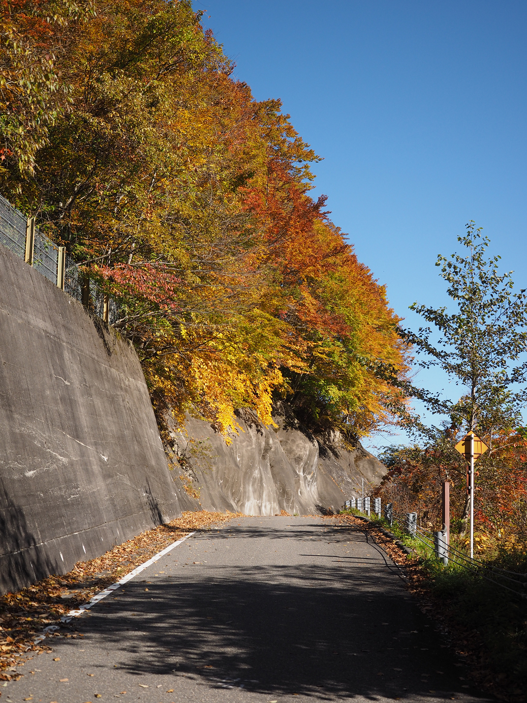 PA180215.jpg