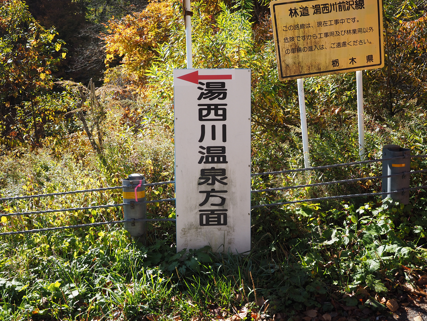 PA180217.jpg