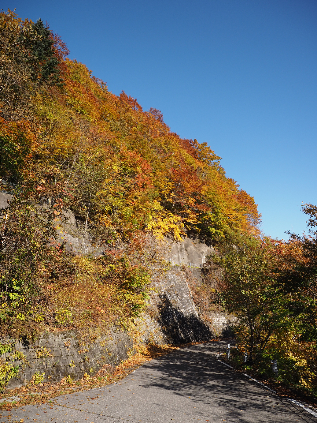 PA180219.jpg