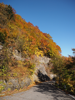 PA180219_thumb.png