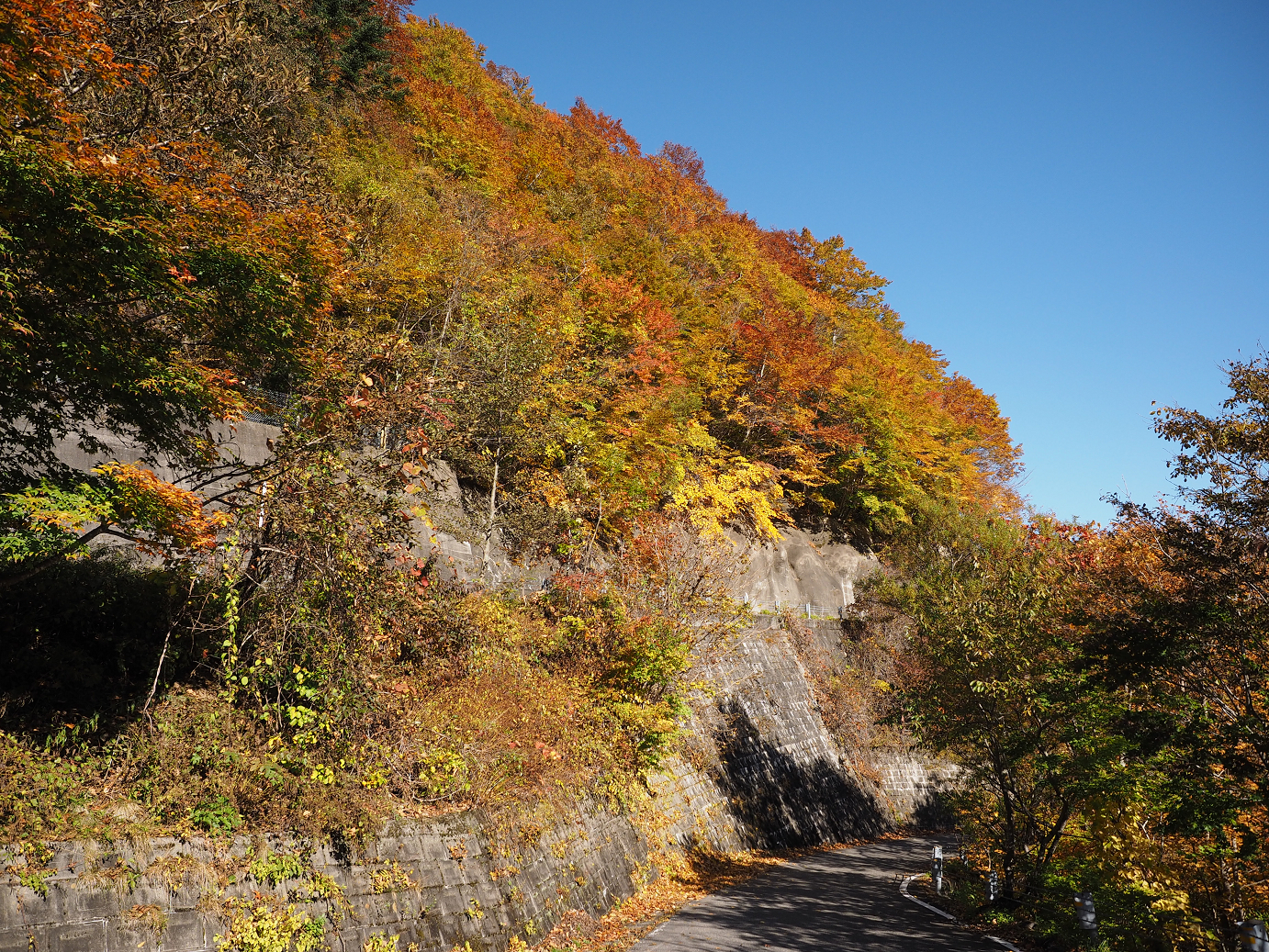 PA180220.jpg