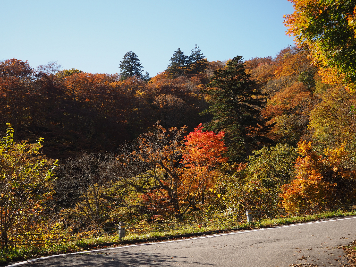PA180224.jpg
