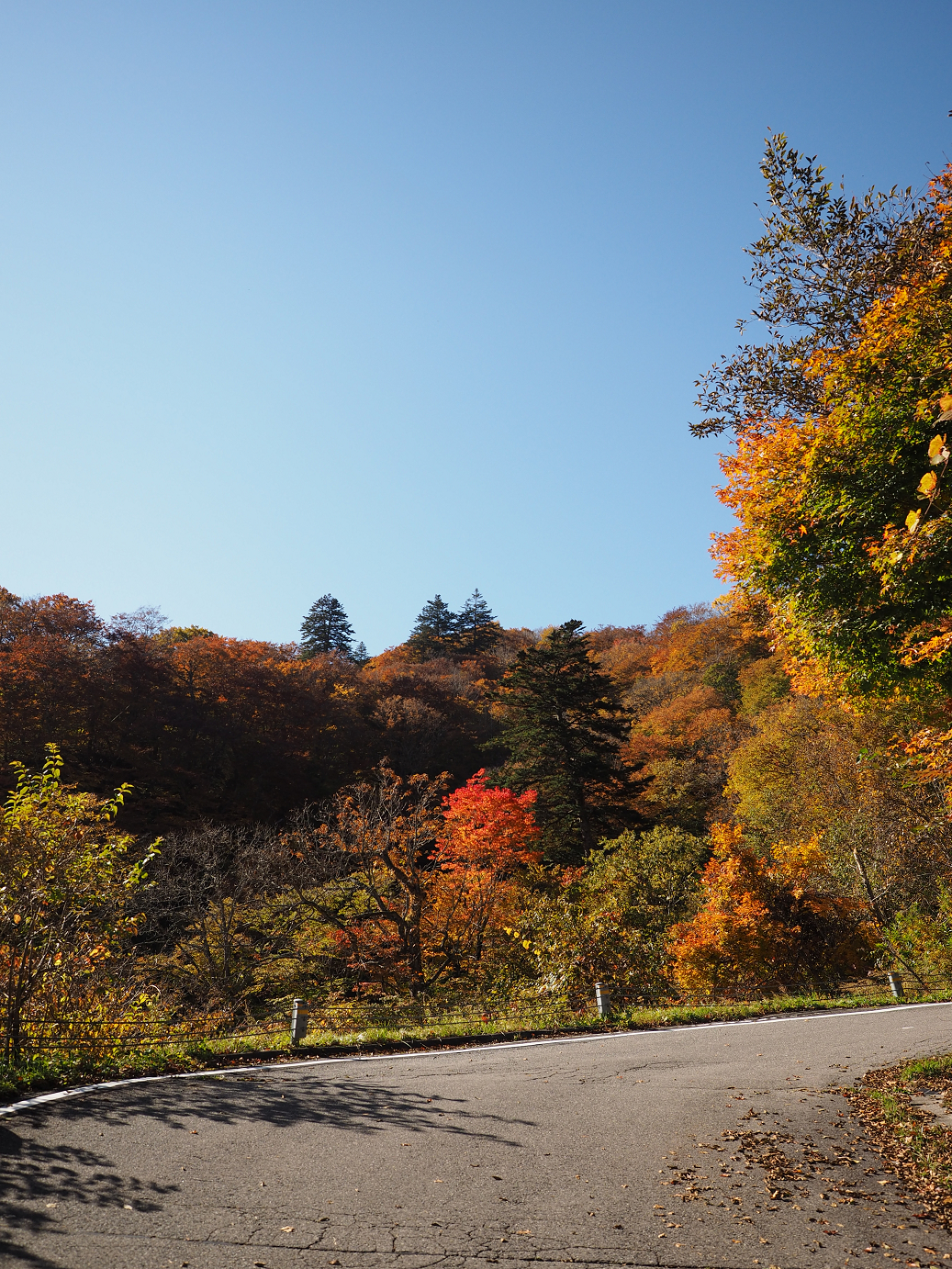 PA180225.jpg