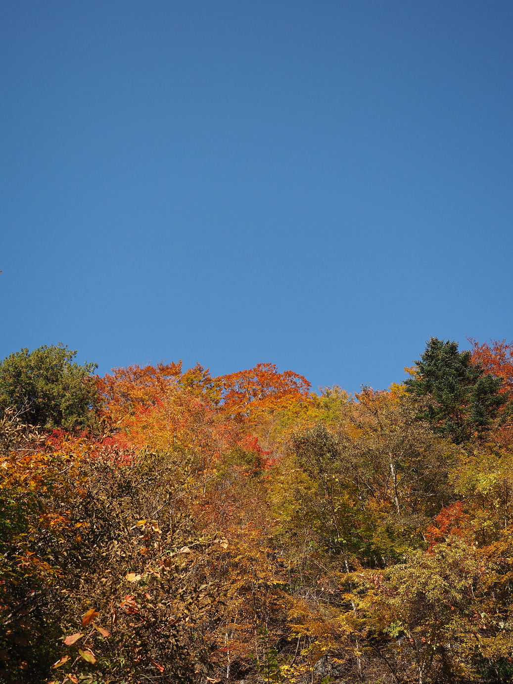 PA180227.jpg